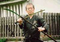 Bujinkan Budo Taijutsu